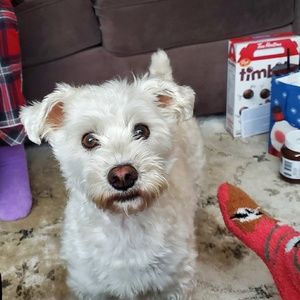 Meet your Posher, Karen